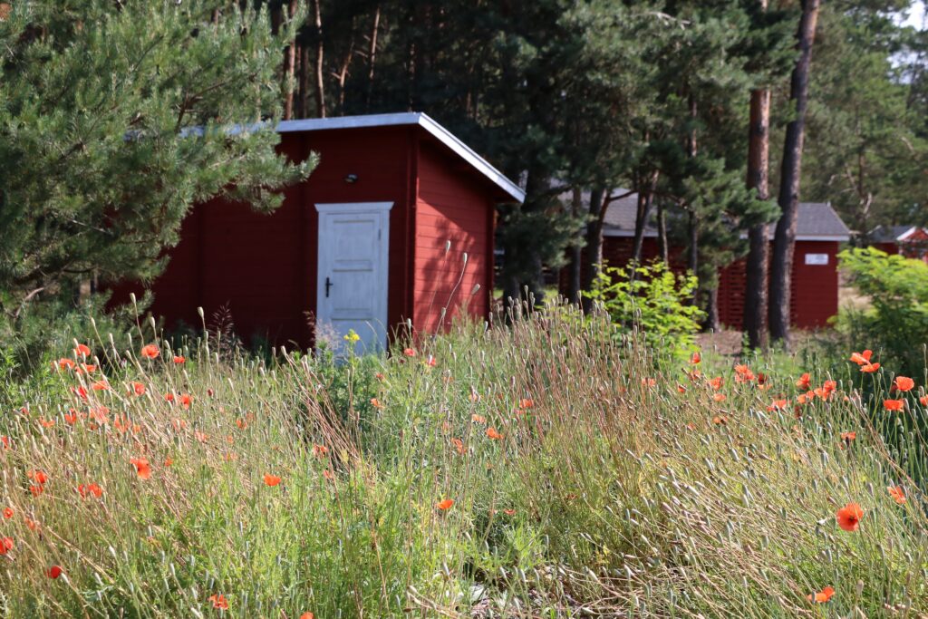 Nadwarciański Park Krajobrazowy - norweska wioska Arendel
